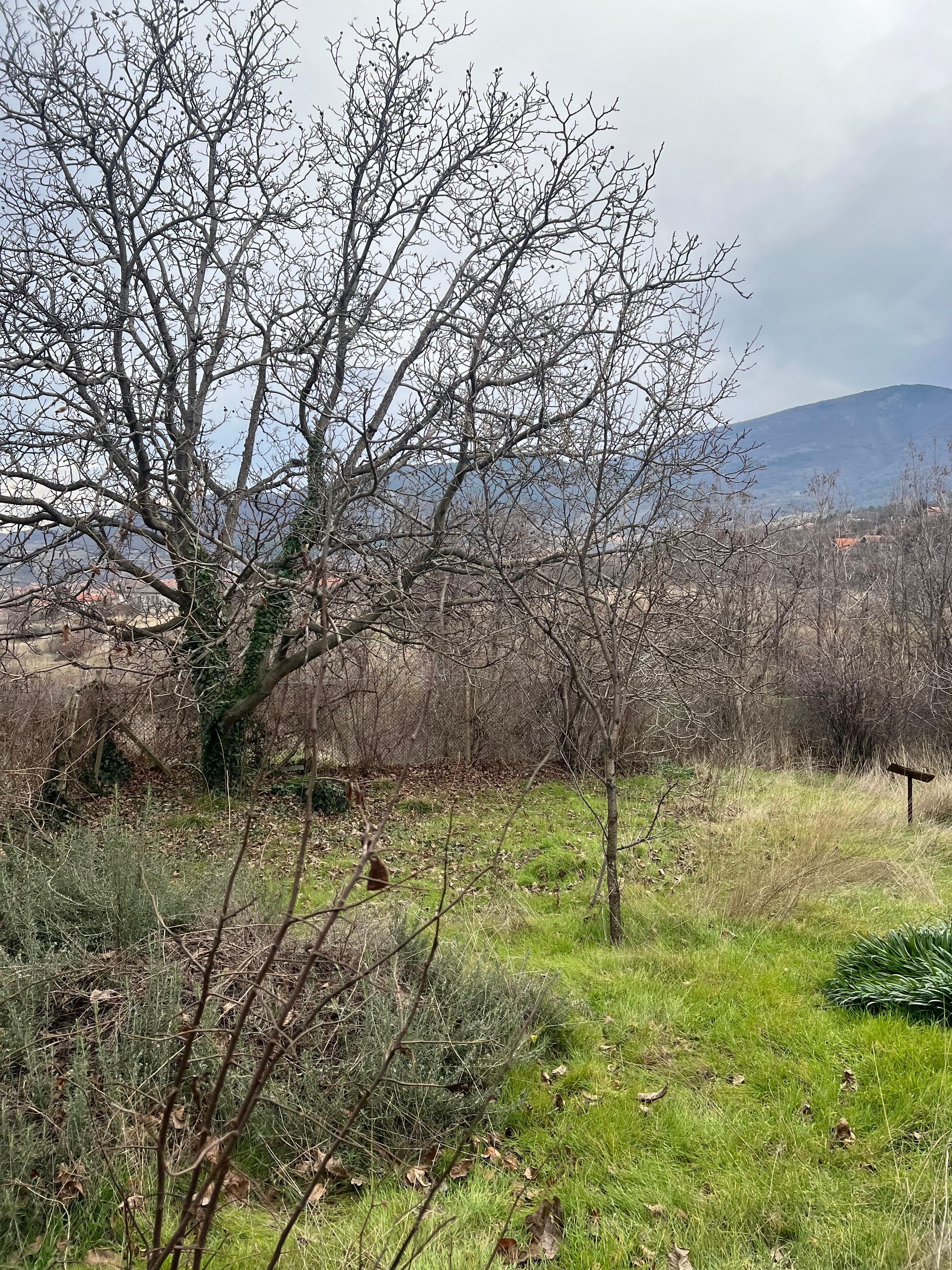 Къща за продажба - град Куклен 3