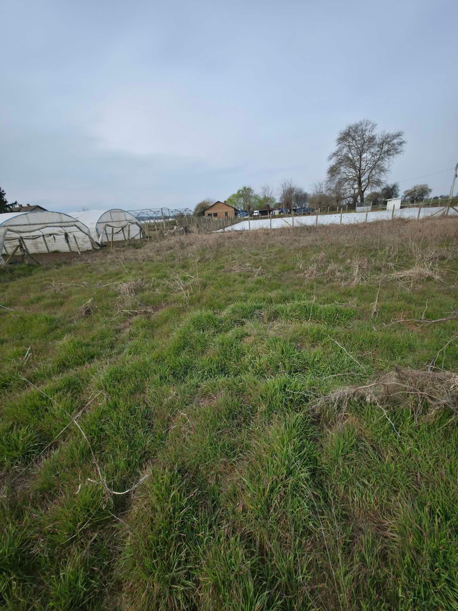 Ексклузивно! Къща с парцел - село Милево 2