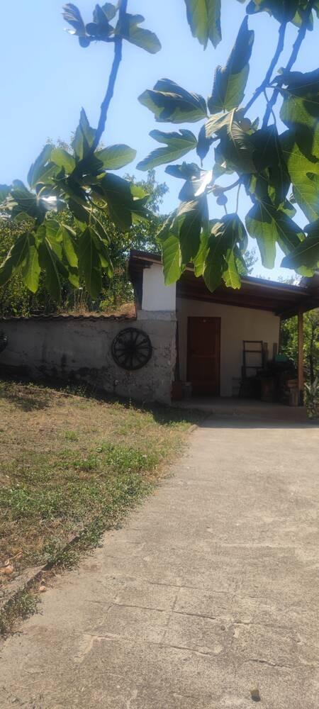 Къща в град Перущица 2